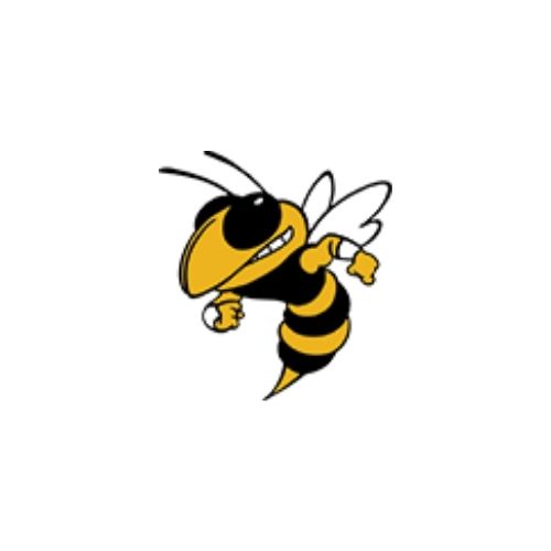 hornet